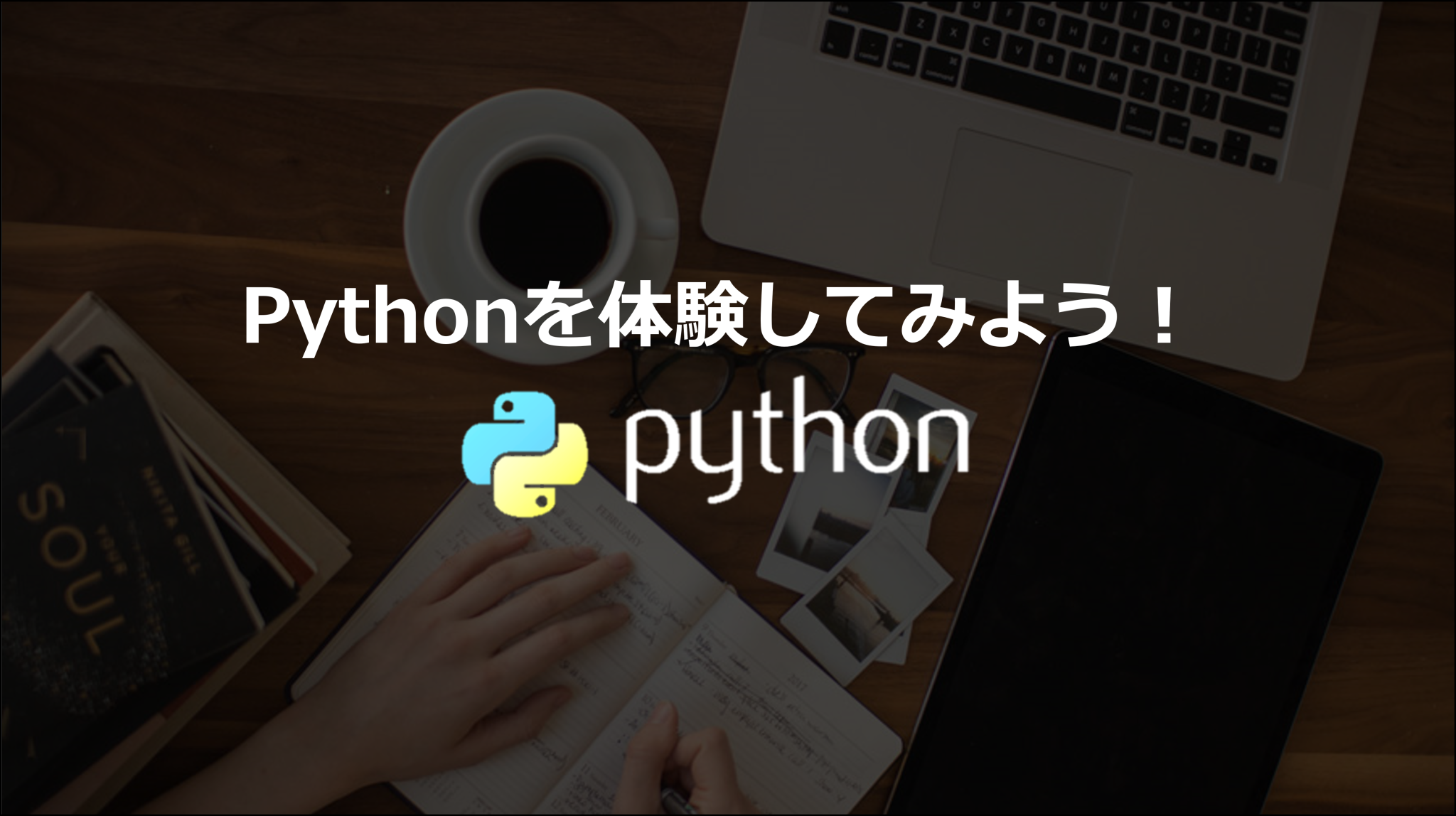 1コイン Python体験講座 限定テキスト | みやしんのプログラミングスキル通信